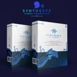 Synthesys Video Translate