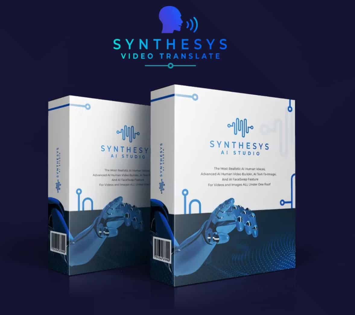 Synthesys Video Translate